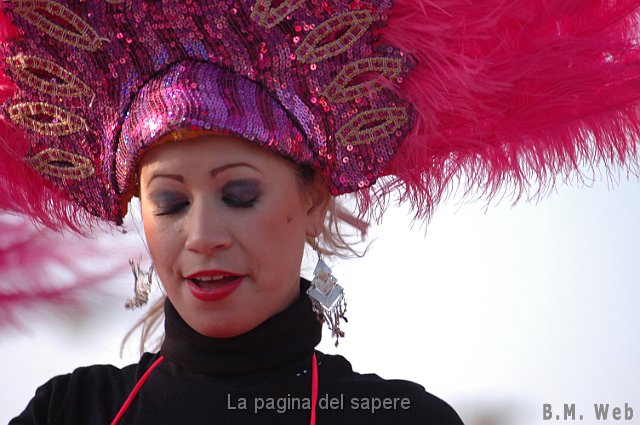 Carnevale 2010 W (24).JPG